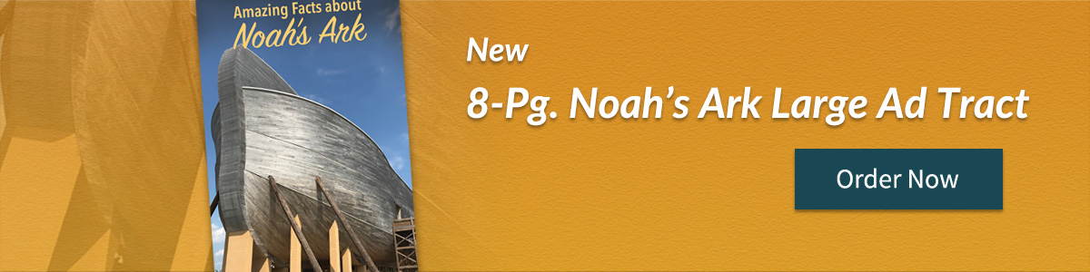 main-slides-8-pg-Noah
